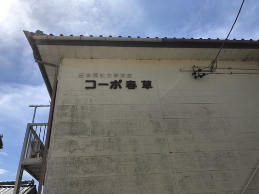 Before画像