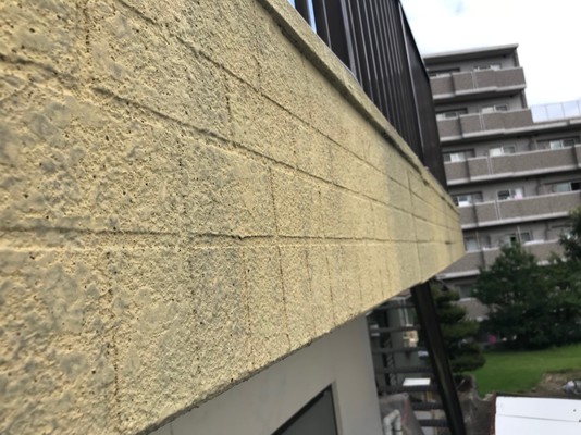 Before画像