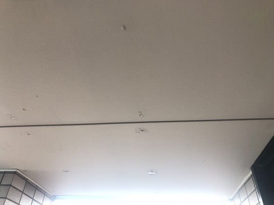 Before画像