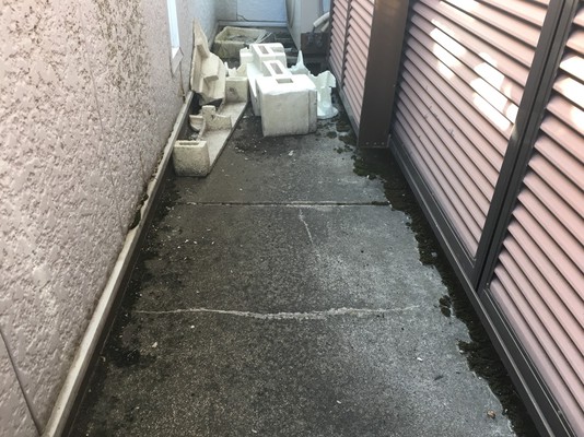 Before画像