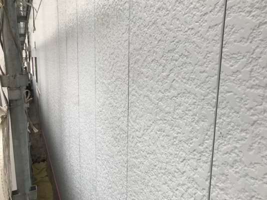Before画像