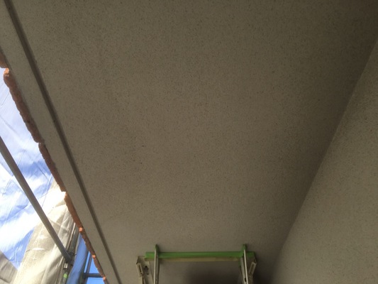 Before画像