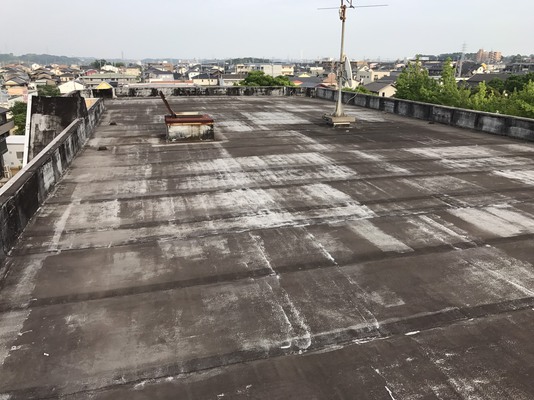 Before画像