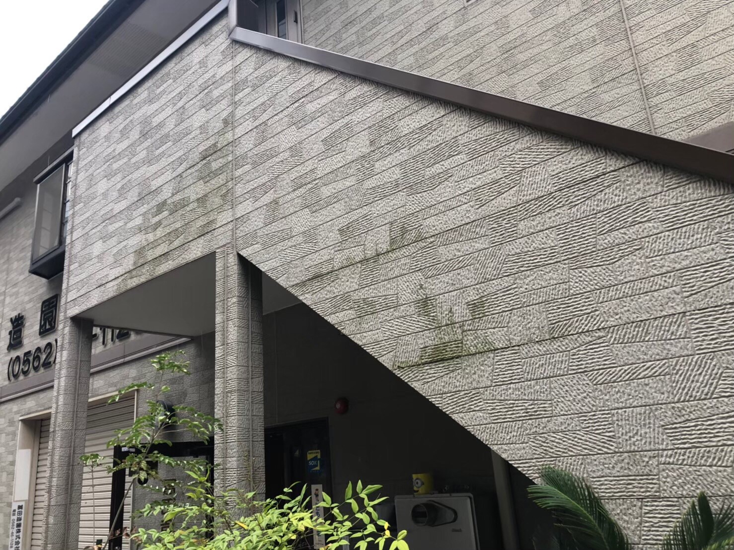 Before画像