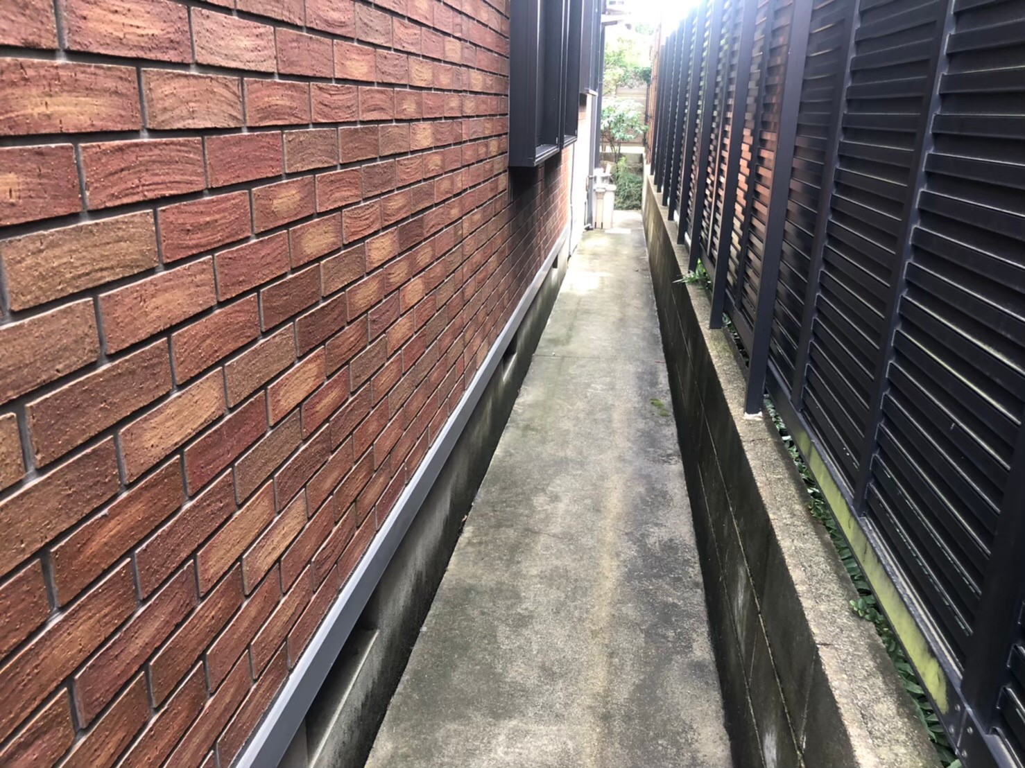 Before画像