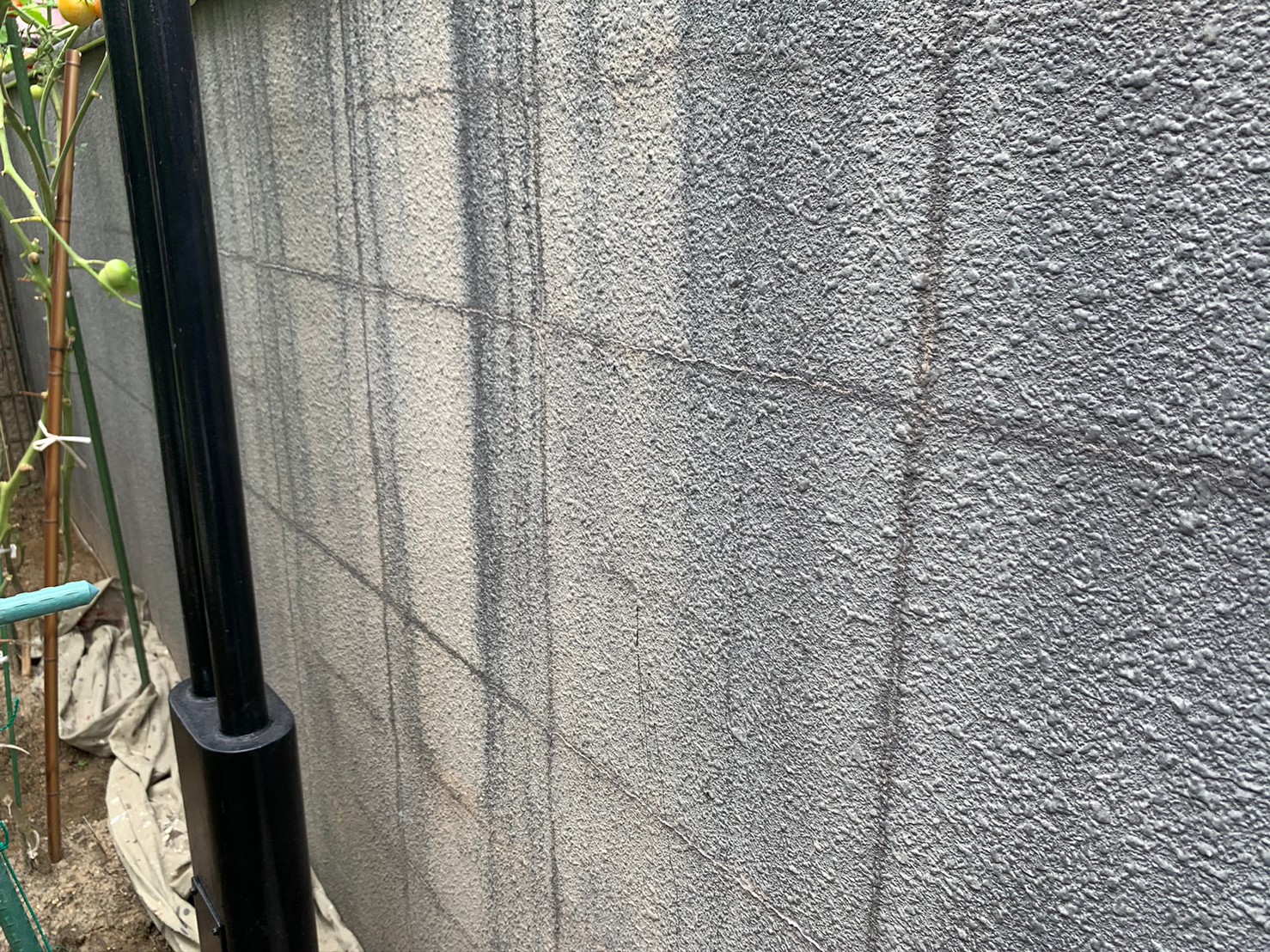 Before画像