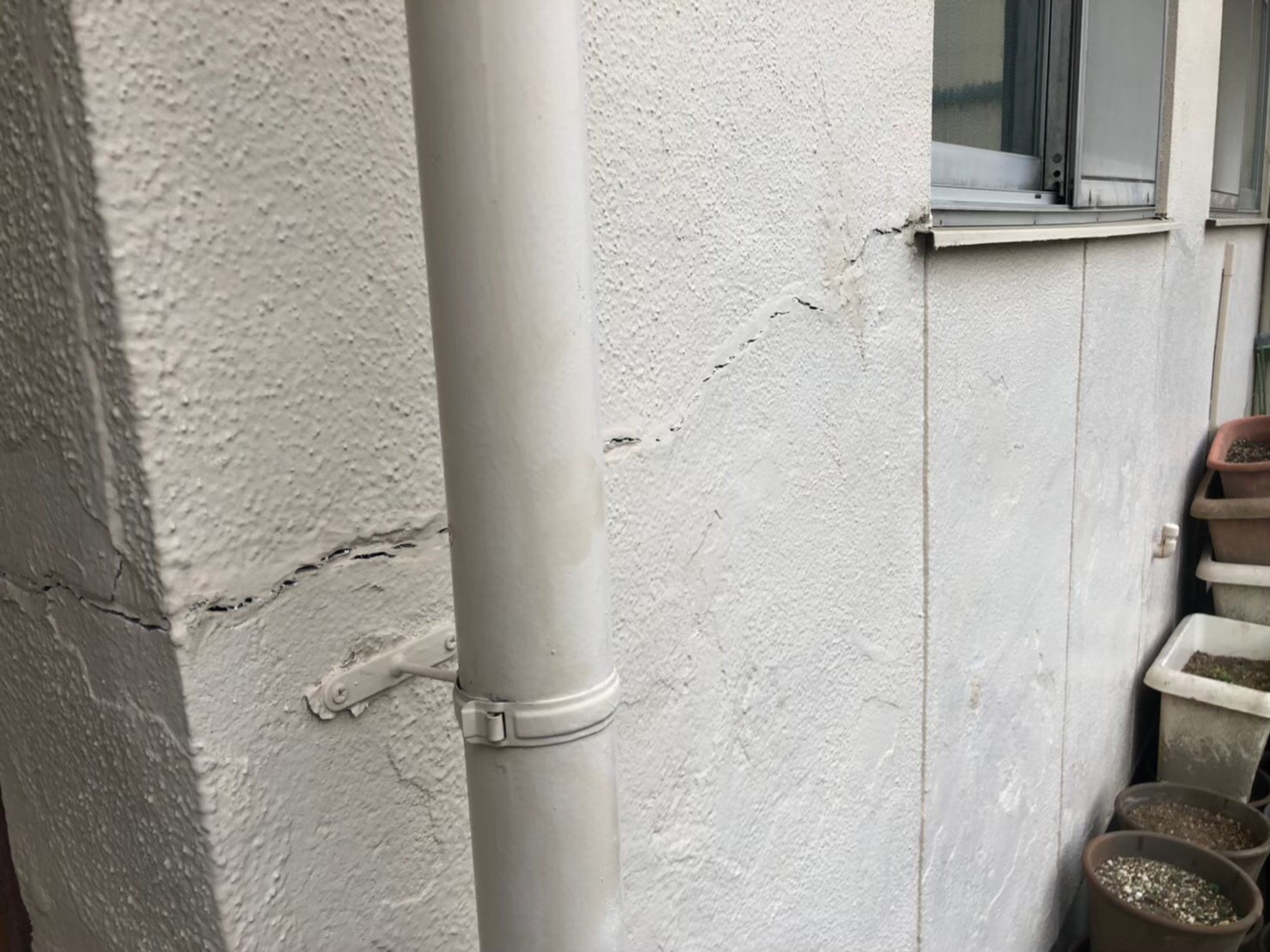 Before画像