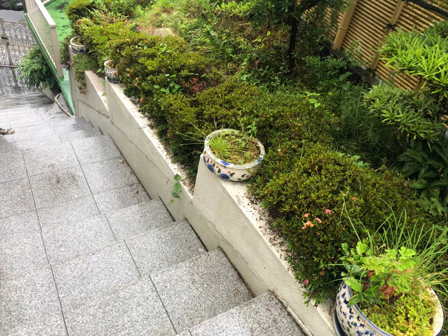 Before画像