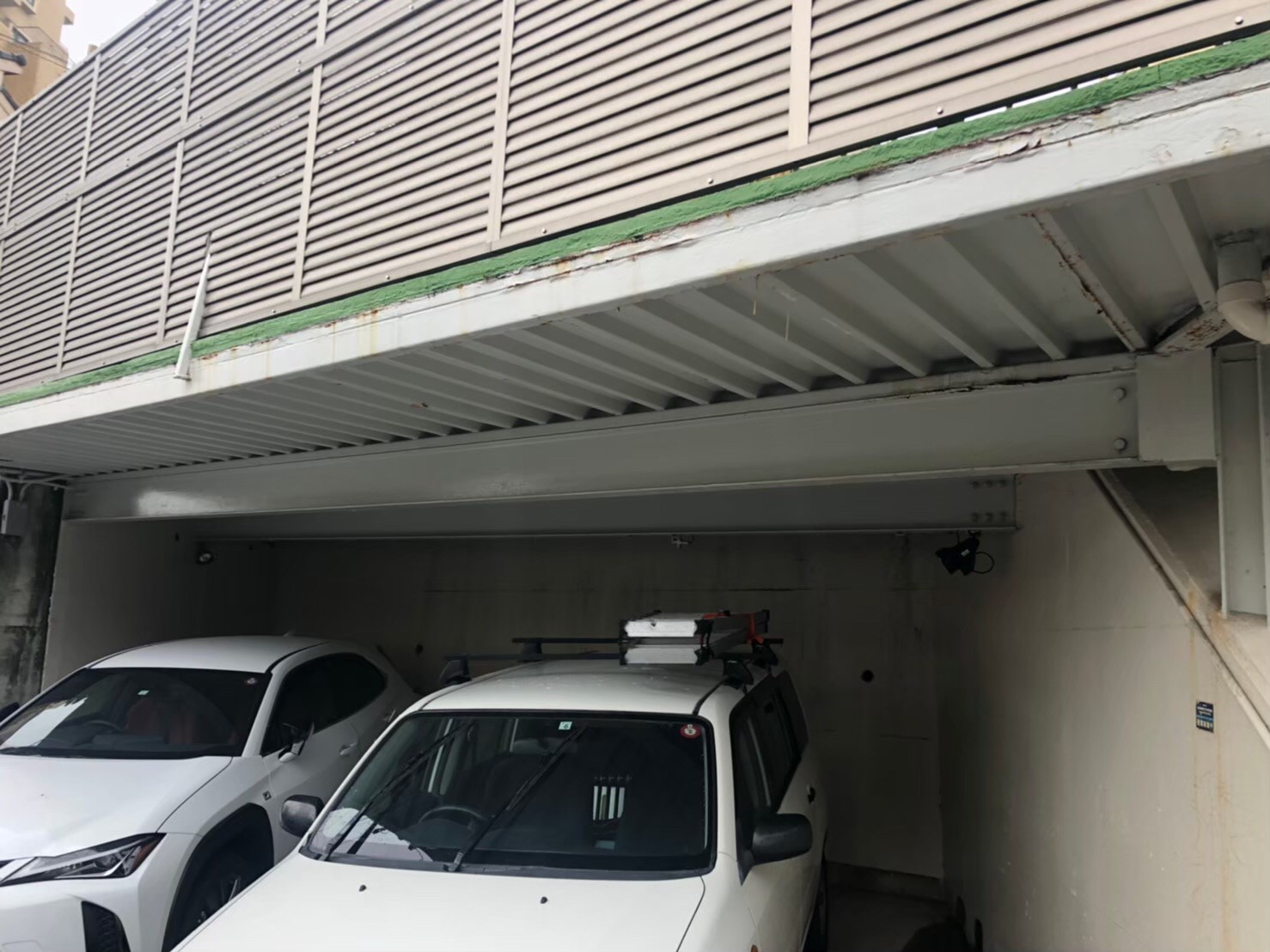 Before画像