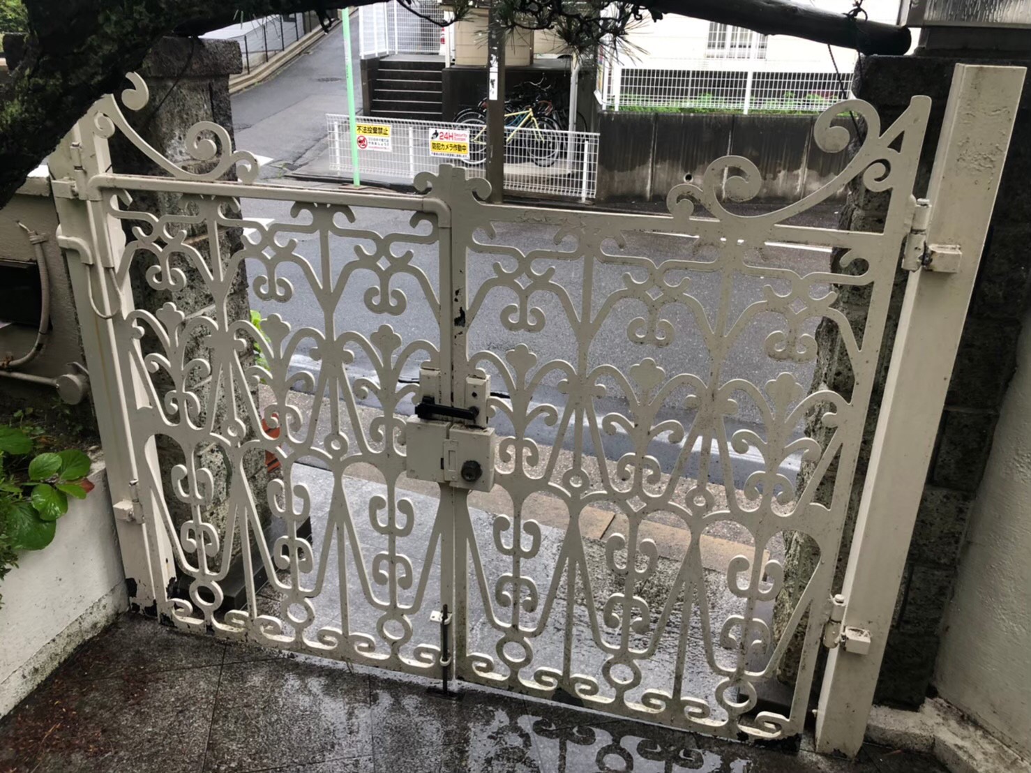 Before画像