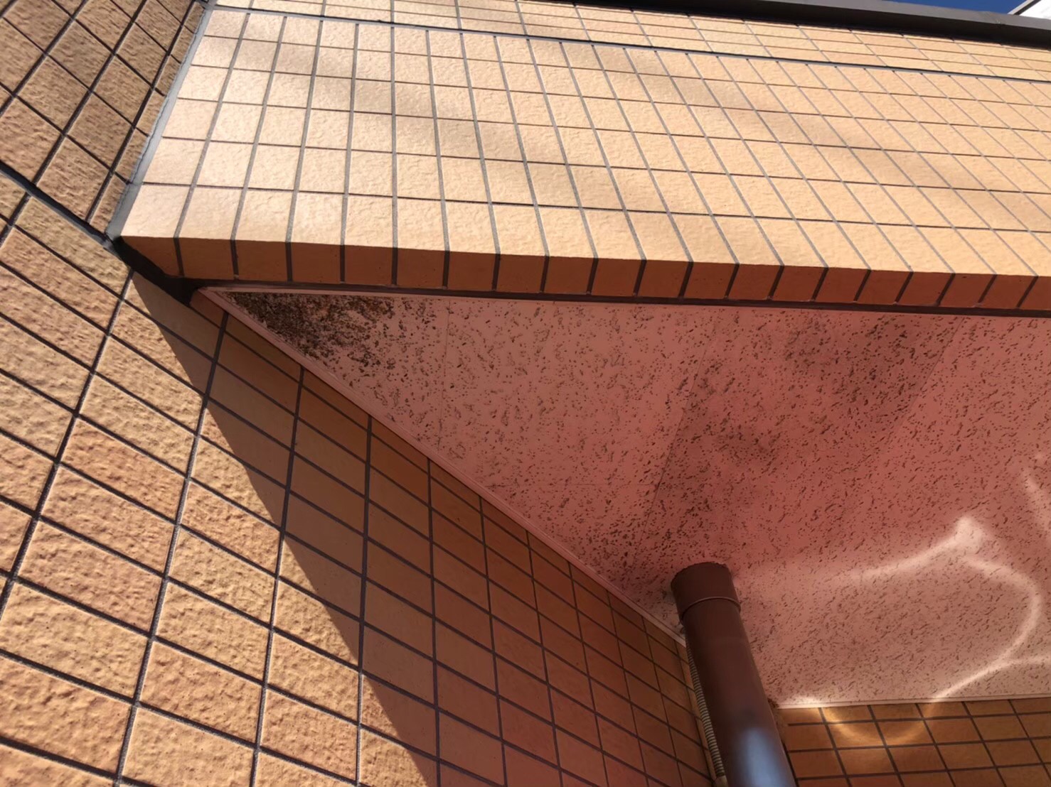 Before画像