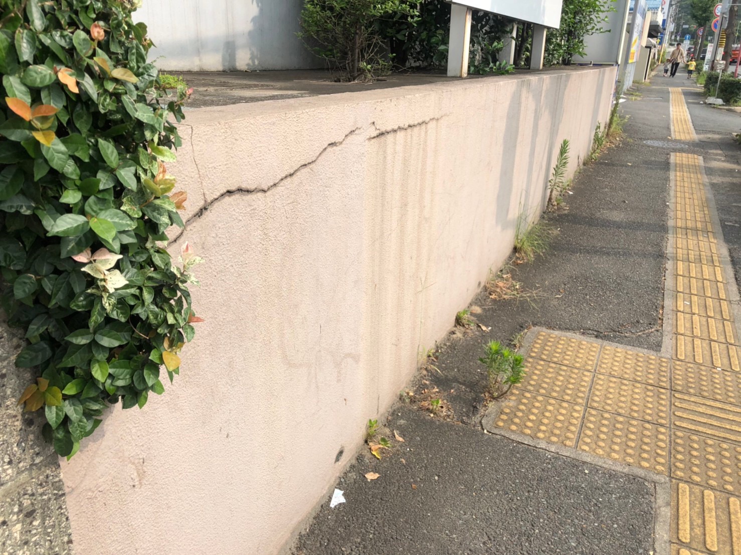 Before画像
