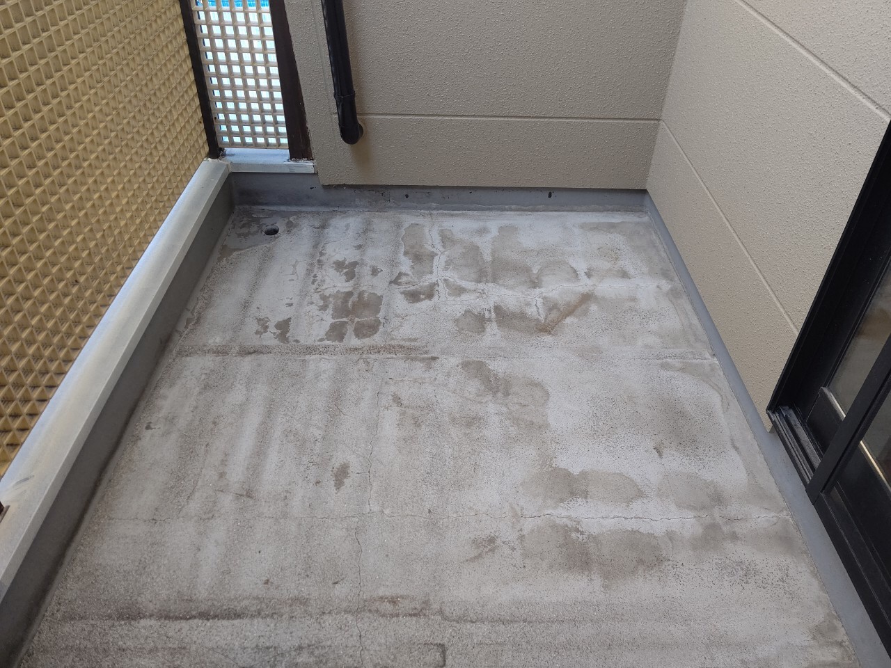 Before画像