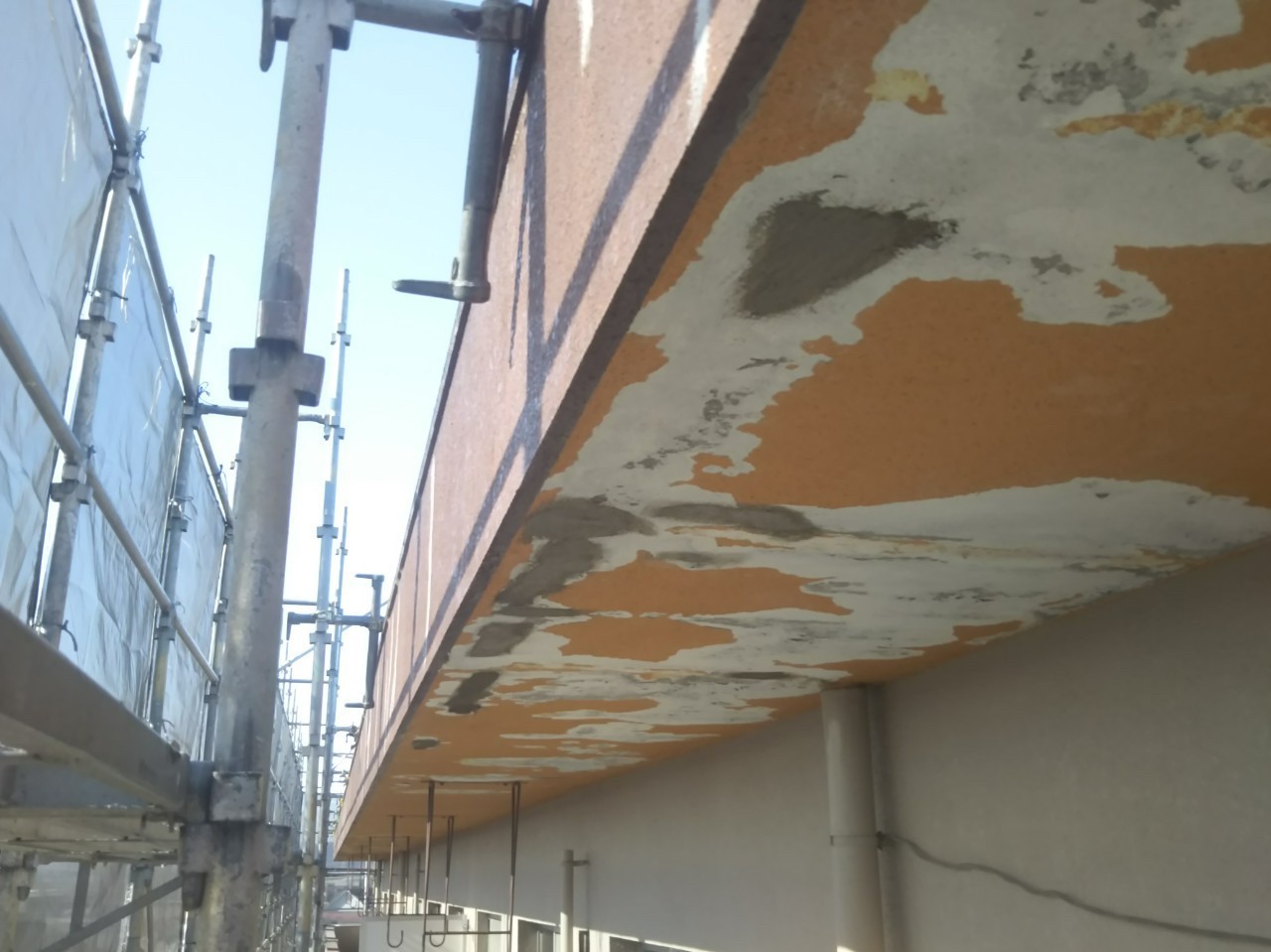 Before画像