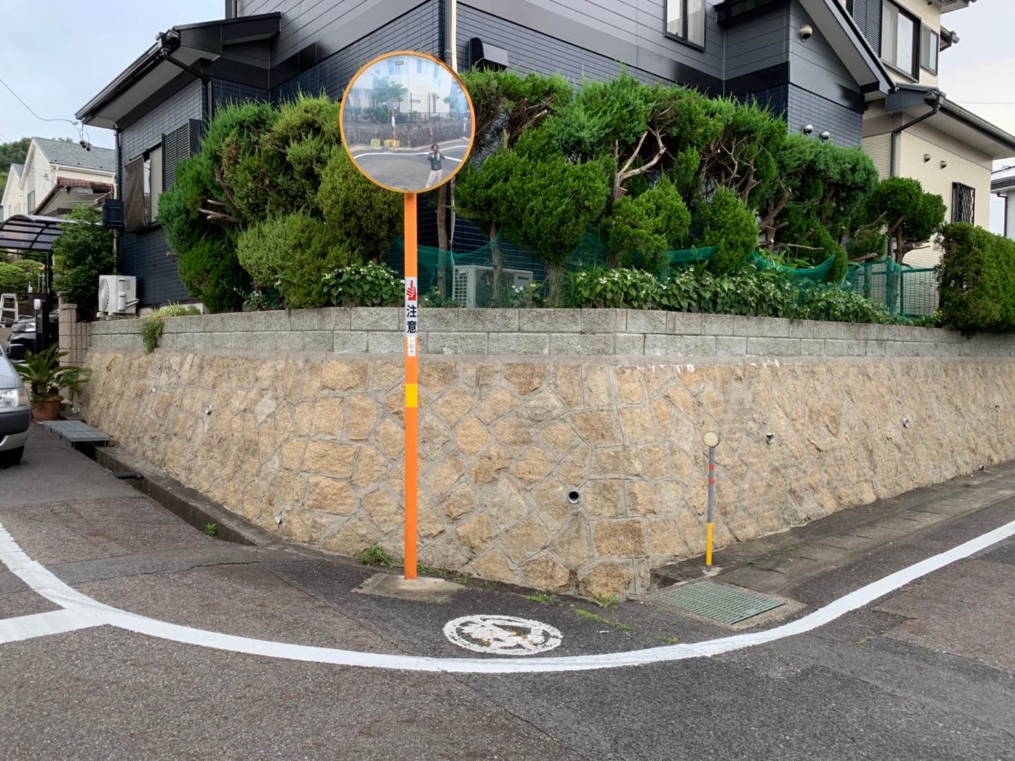 After画像