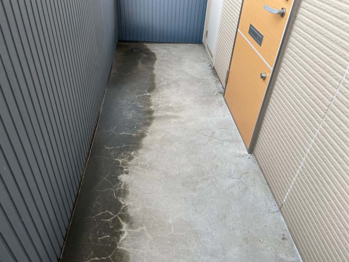 Before画像