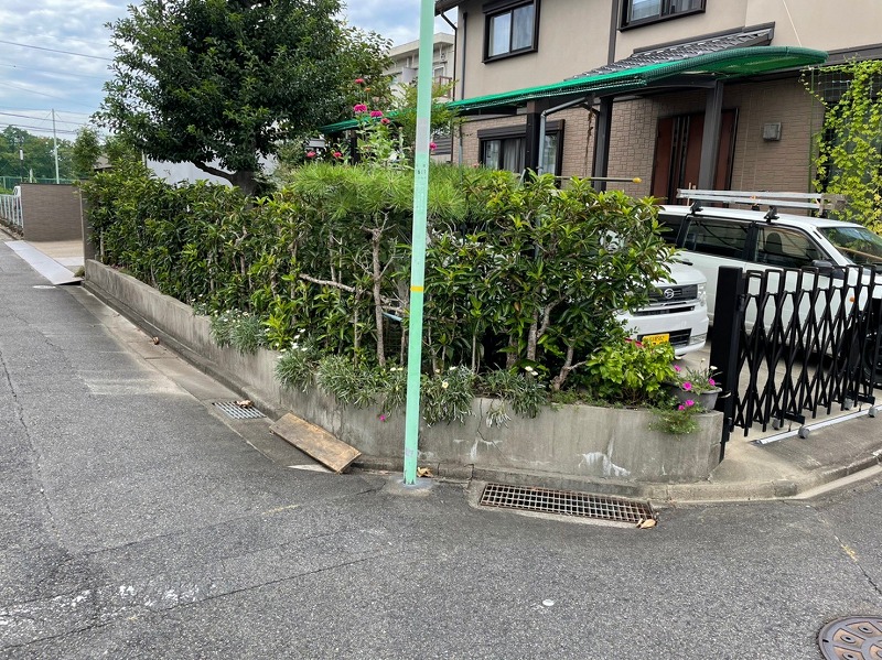 Before画像