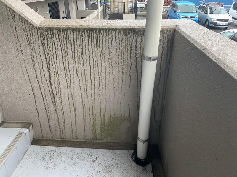 Before画像