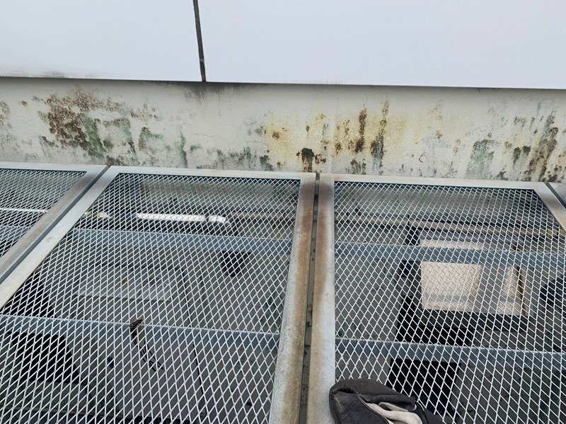 Before画像