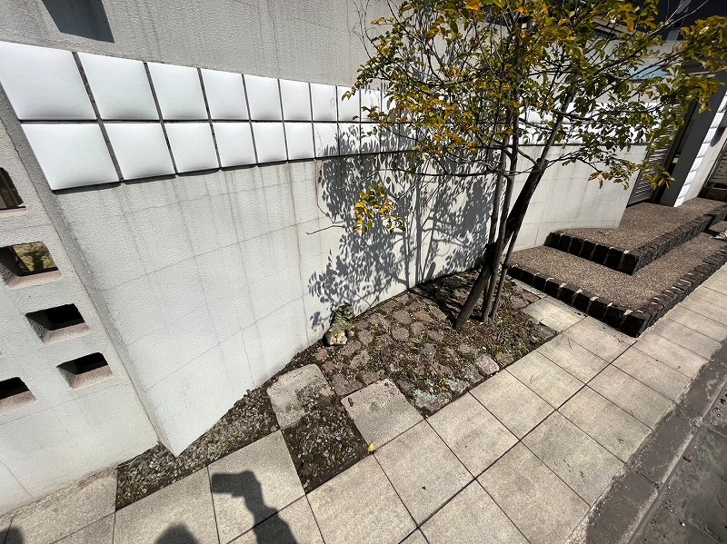 Before画像