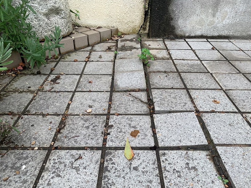 Before画像