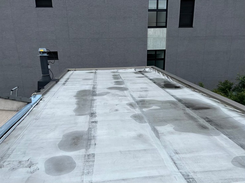 Before画像