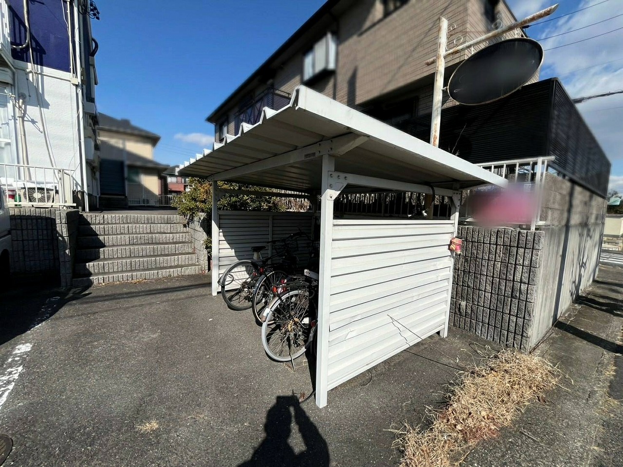 Before画像