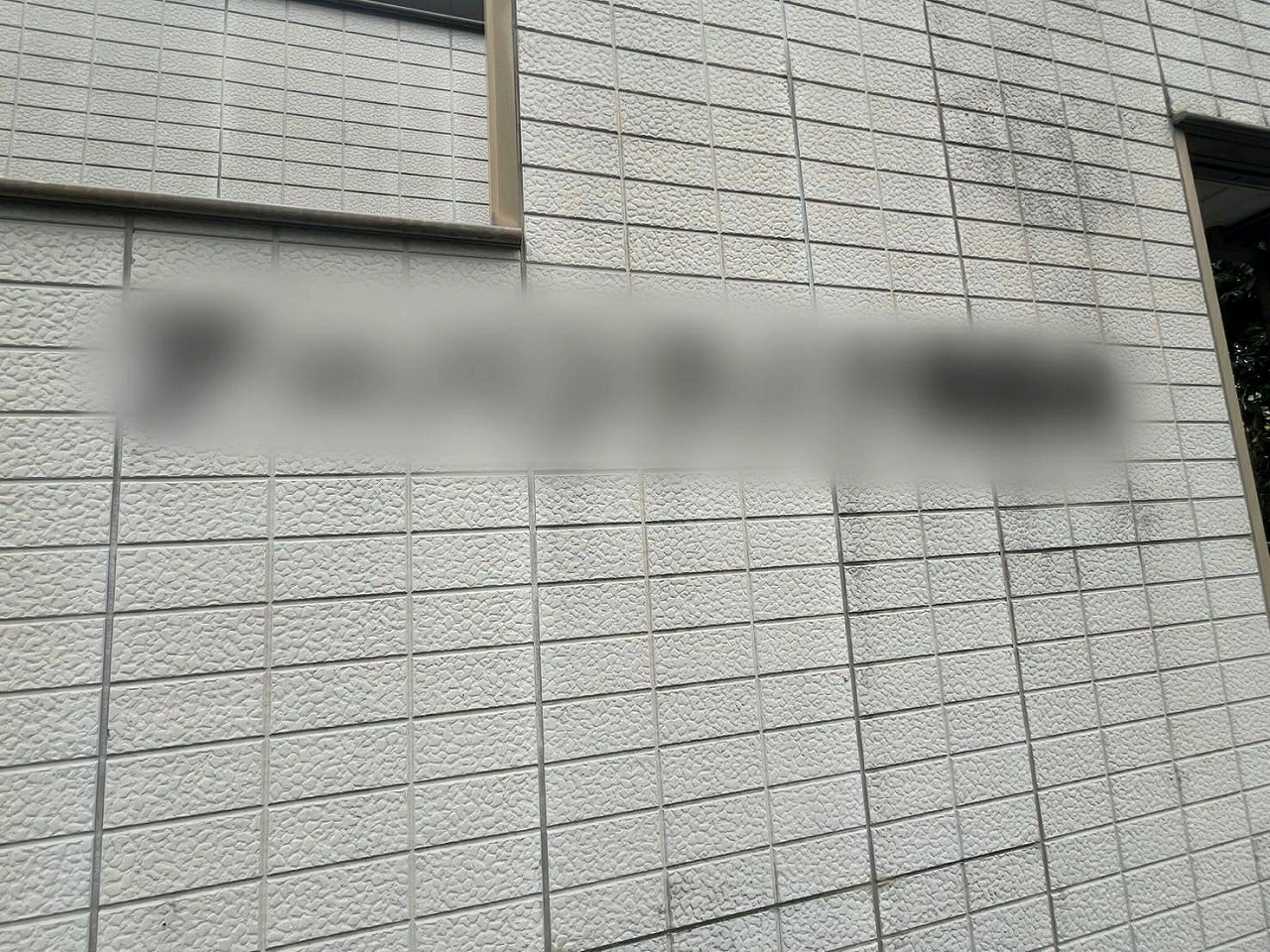 Before画像
