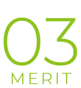 03　MERIT